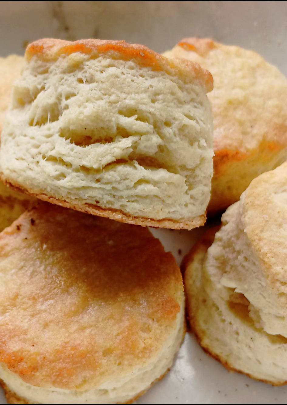 Buttermilk Biscuits- 6 Count