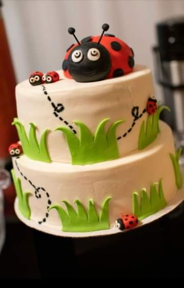 Custom Cake- 2 Tier- Ladybug Cake- Fondant